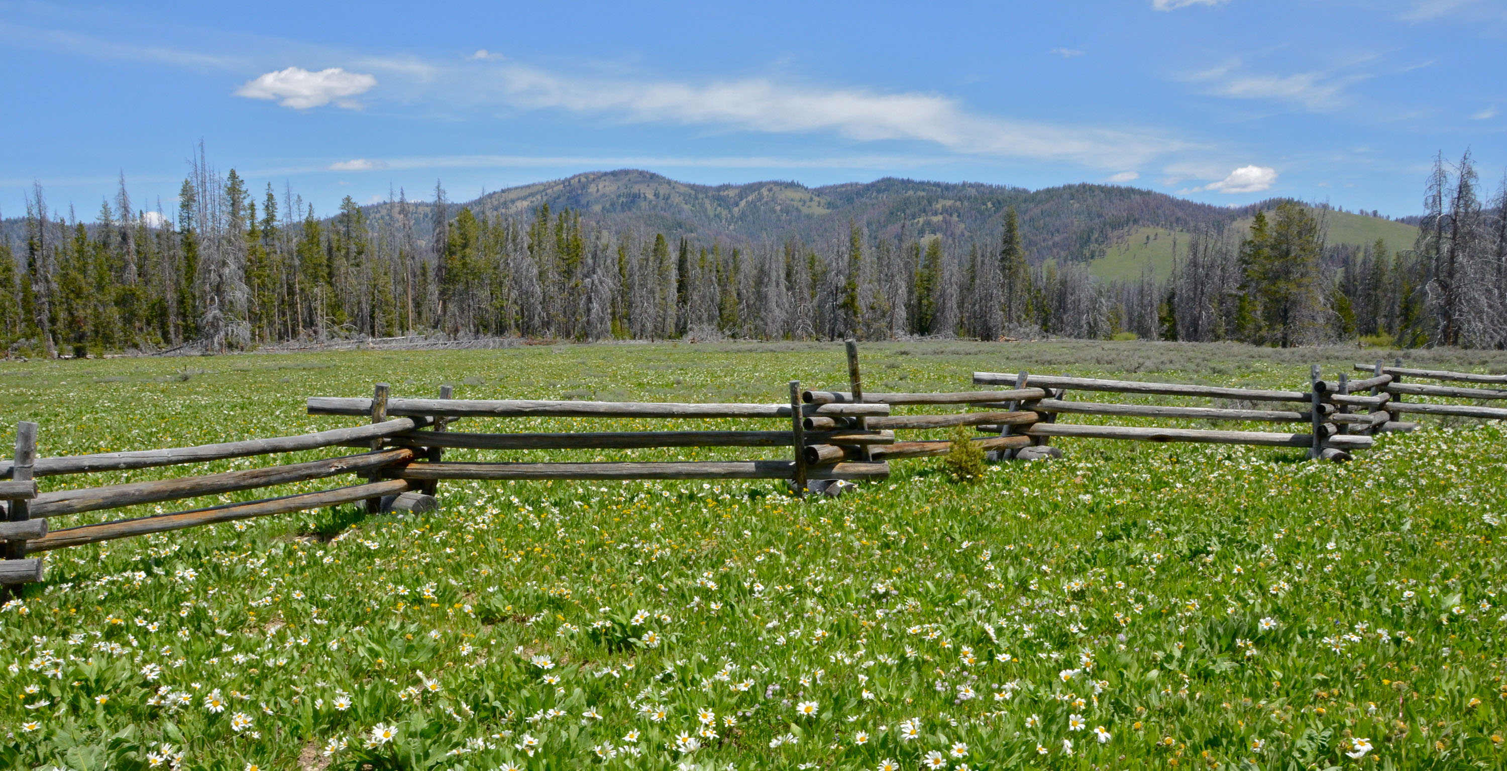 Idaho roadside campgrounds worth checking out