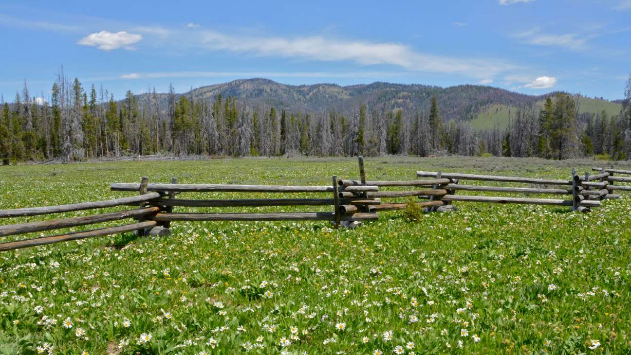 Idaho roadside campgrounds worth checking out
