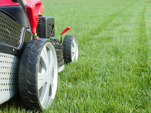 5 tips for keeping your lawn green all summer long