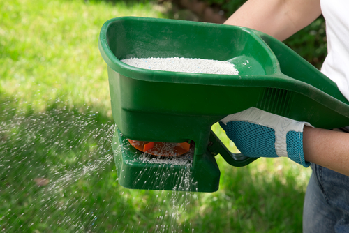 5 tips for keeping your lawn green all summer long