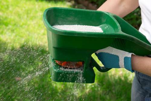 5 tips for keeping your lawn green all summer long