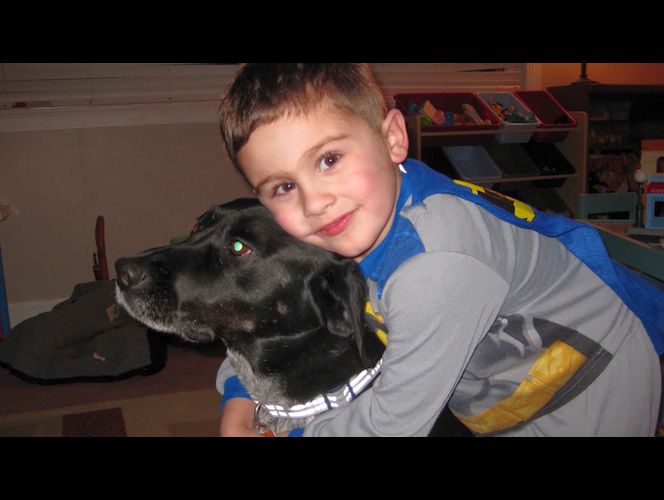 Hombre confiesa haber envenenado al perro de su vecino, mientras se investiga el envenenamiento de otros dos