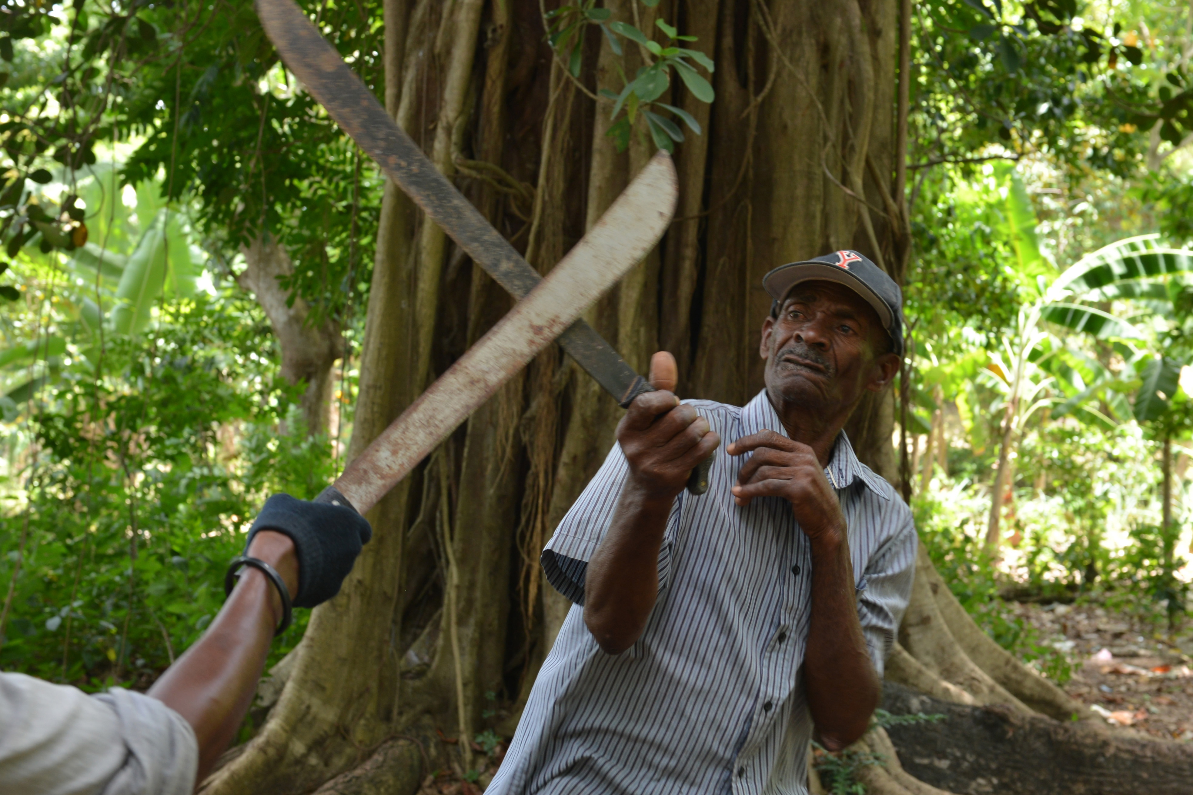Grace, danger blend in Haiti's machete fighting