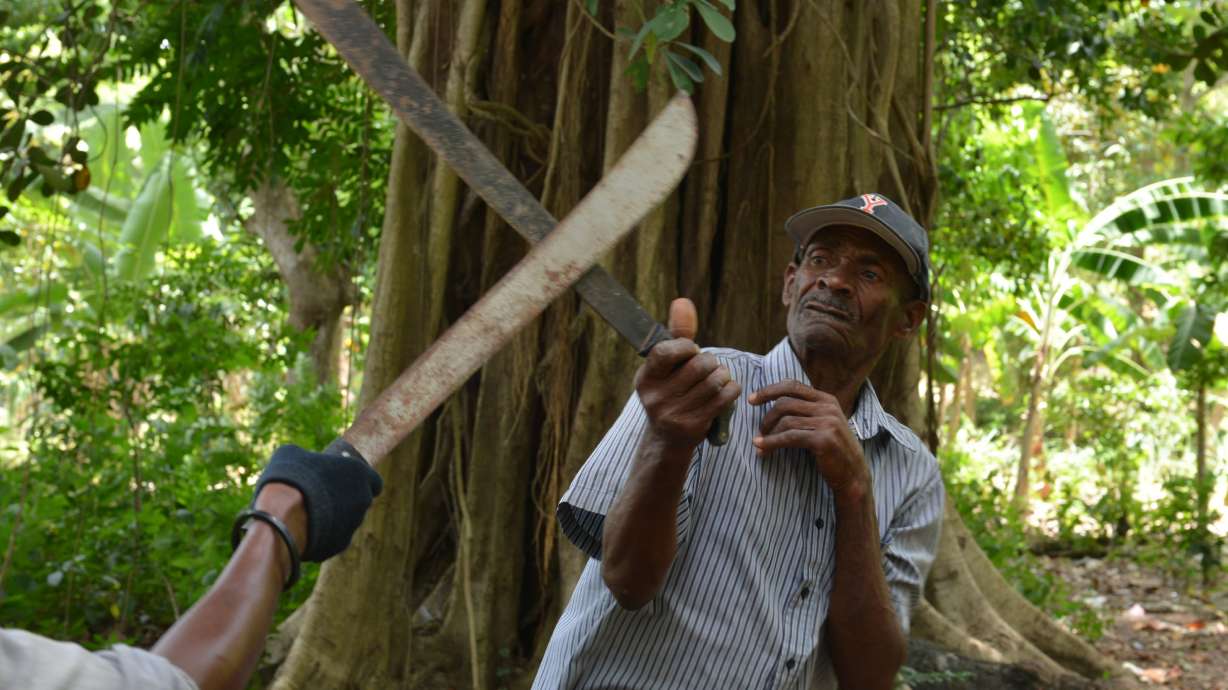 Grace, danger blend in Haiti's machete fighting