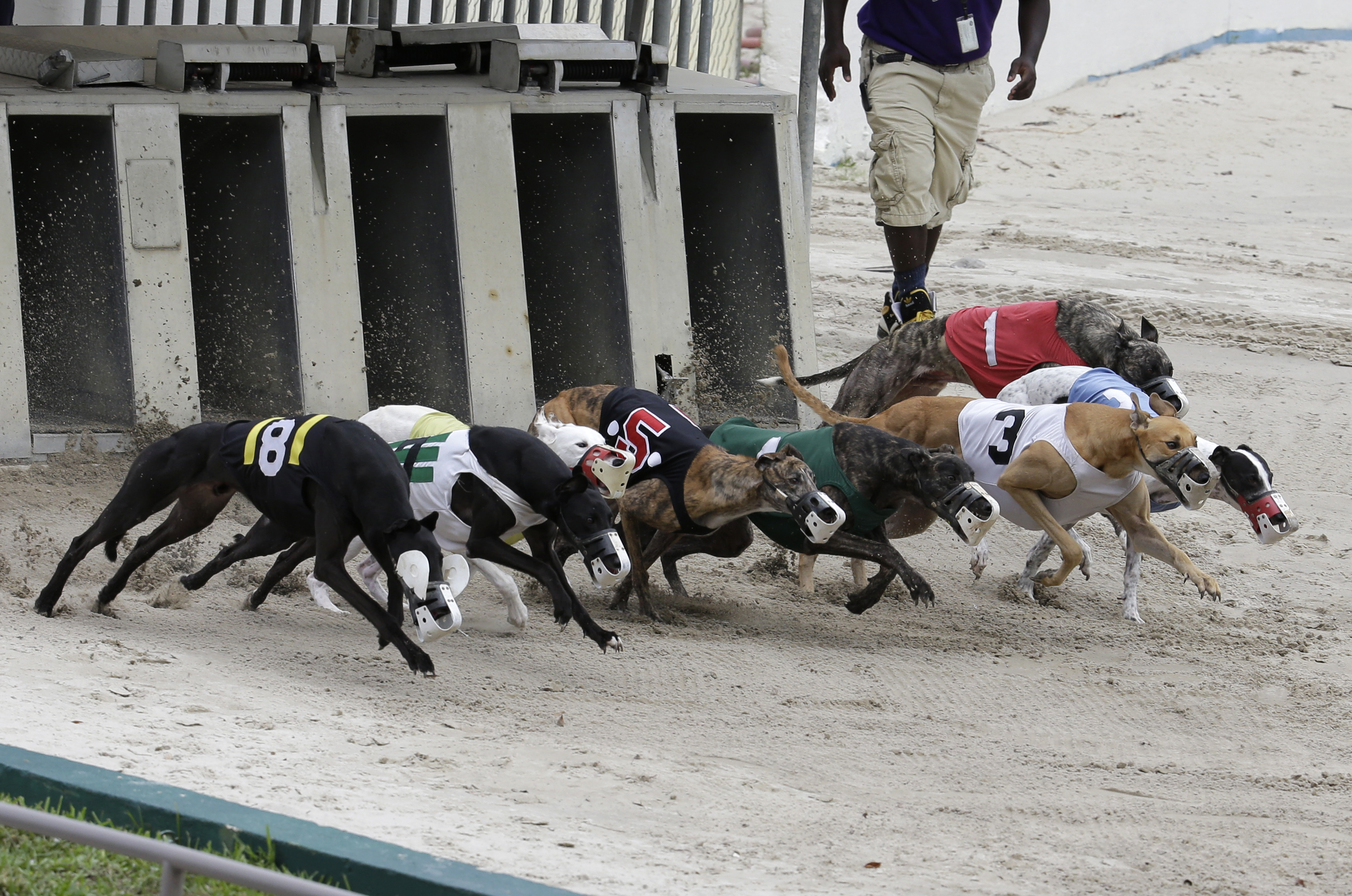 Dog tracks cornered by wagering woes, racing foes