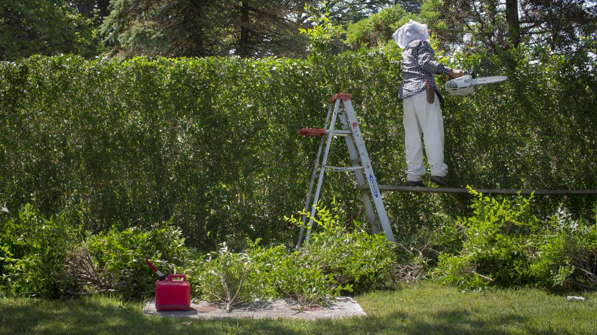 Workers struggle in Hamptons, playground for rich