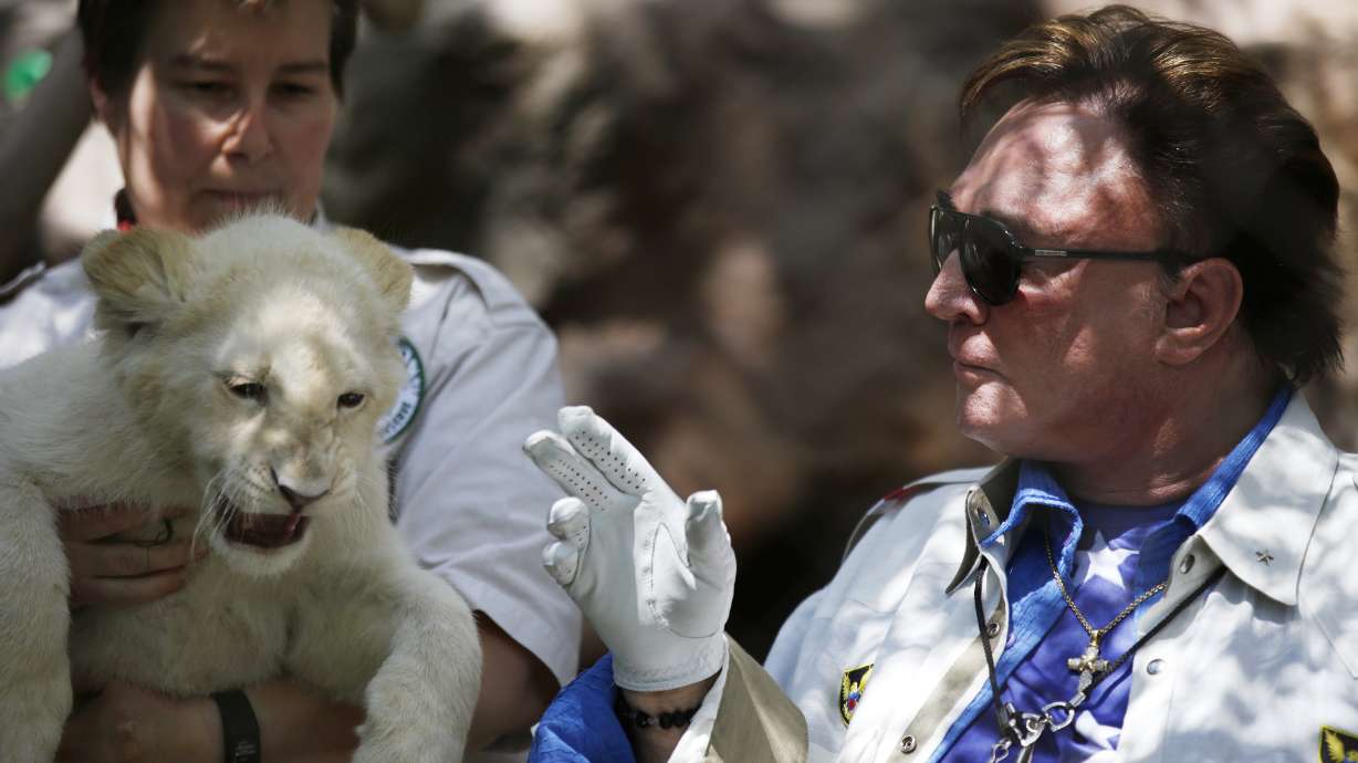 Siegfried & Roy welcome 3 snow-white lion cubs