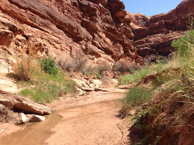 Quicksand developed at Courthouse Wash in Arches National Park.