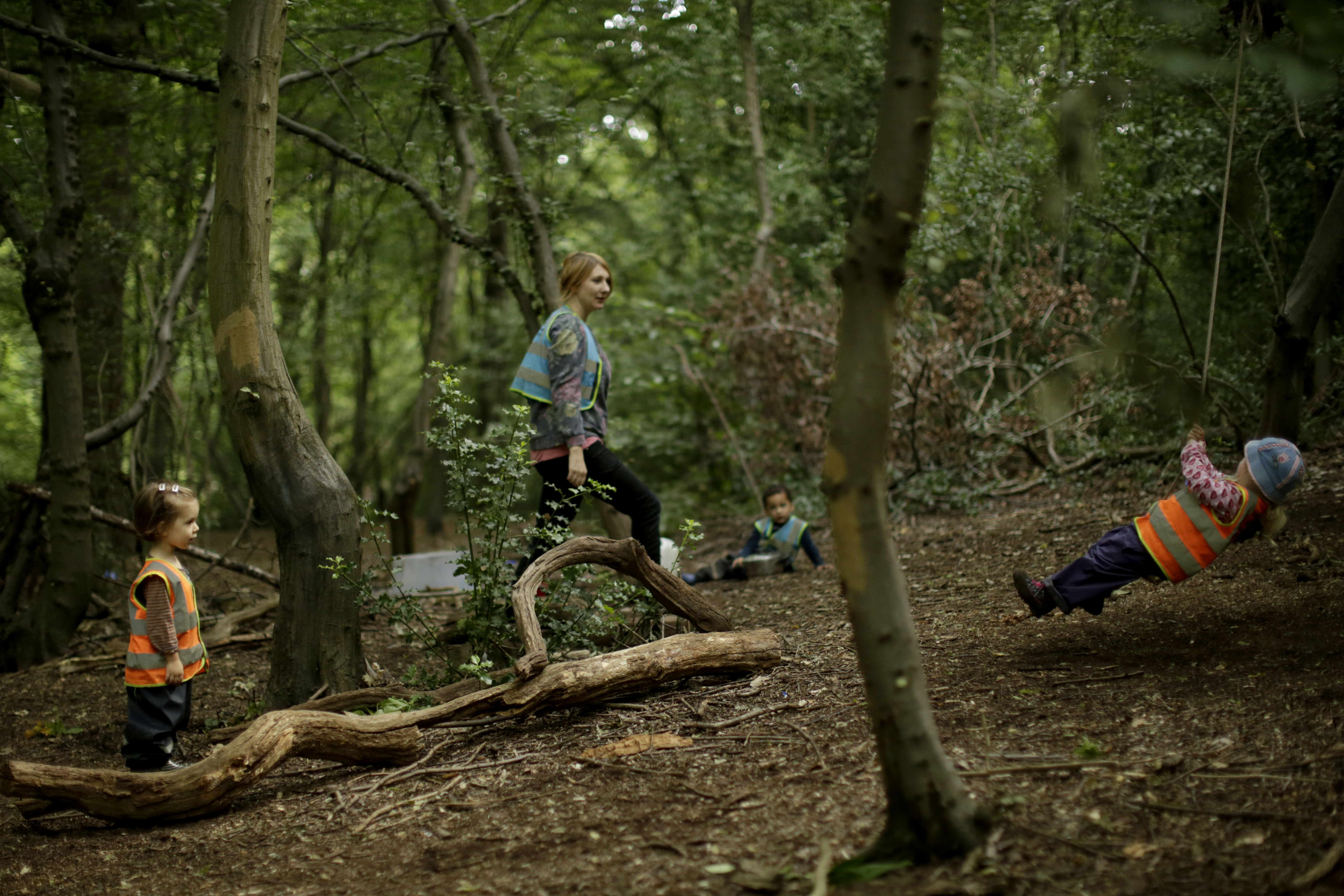 Forest nursery school in London lets kids explore