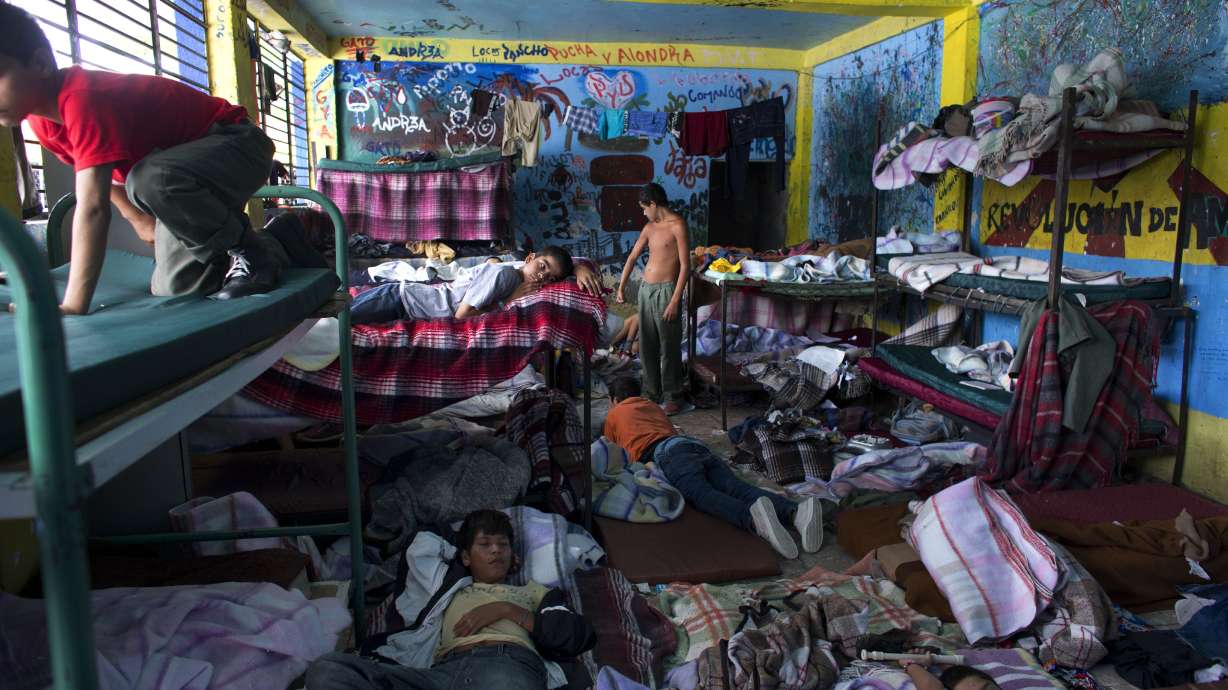 Owner of raided Mexico shelter freed, no charges