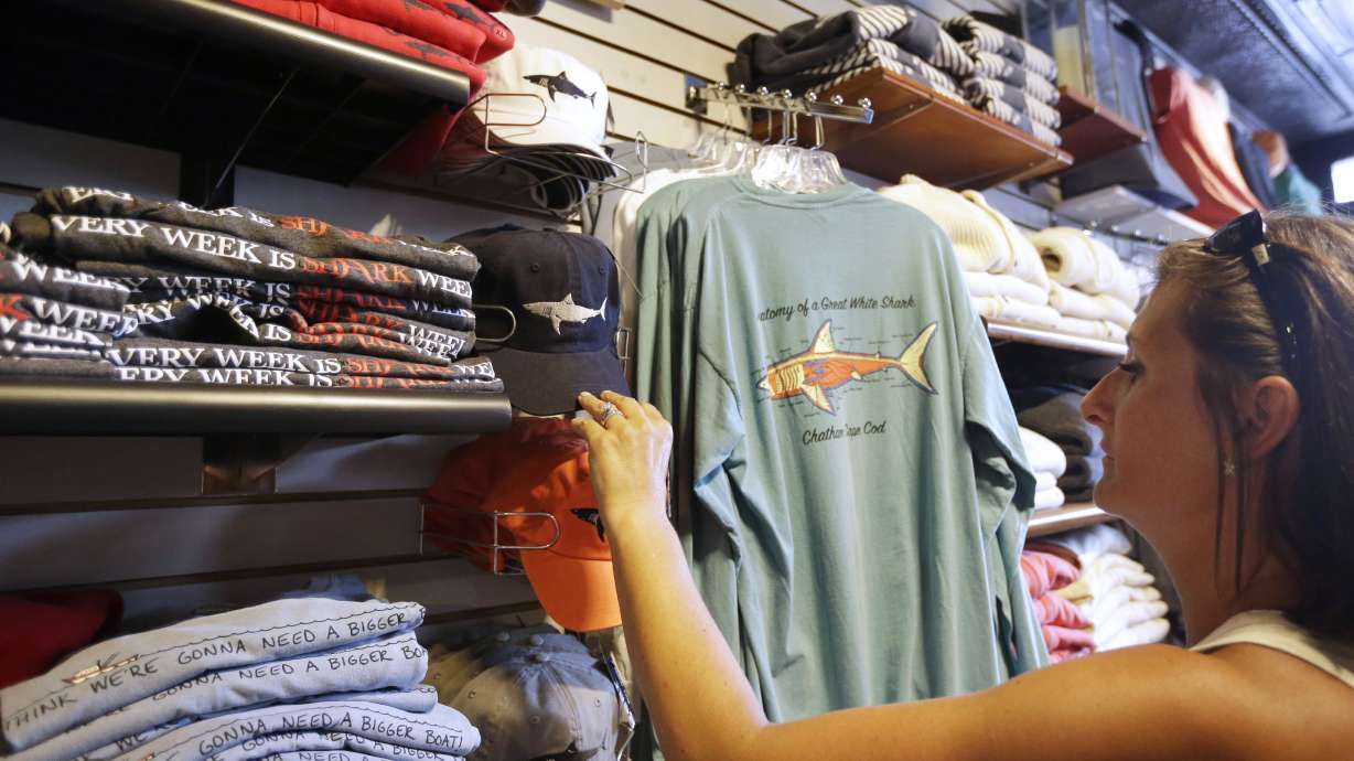 Shark sightings off Cape Cod a boon for tourism