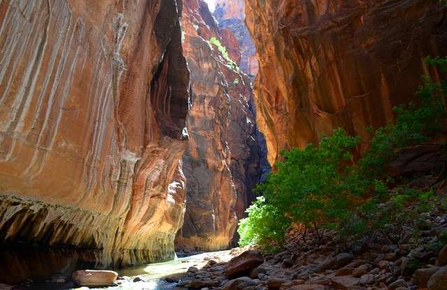 The Narrows
