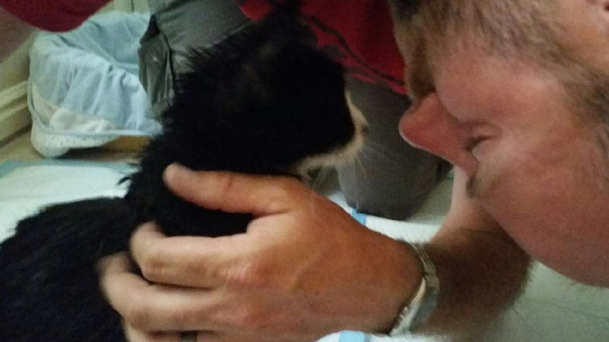 Cat missing for 6 weeks reunited with West Jordan owner