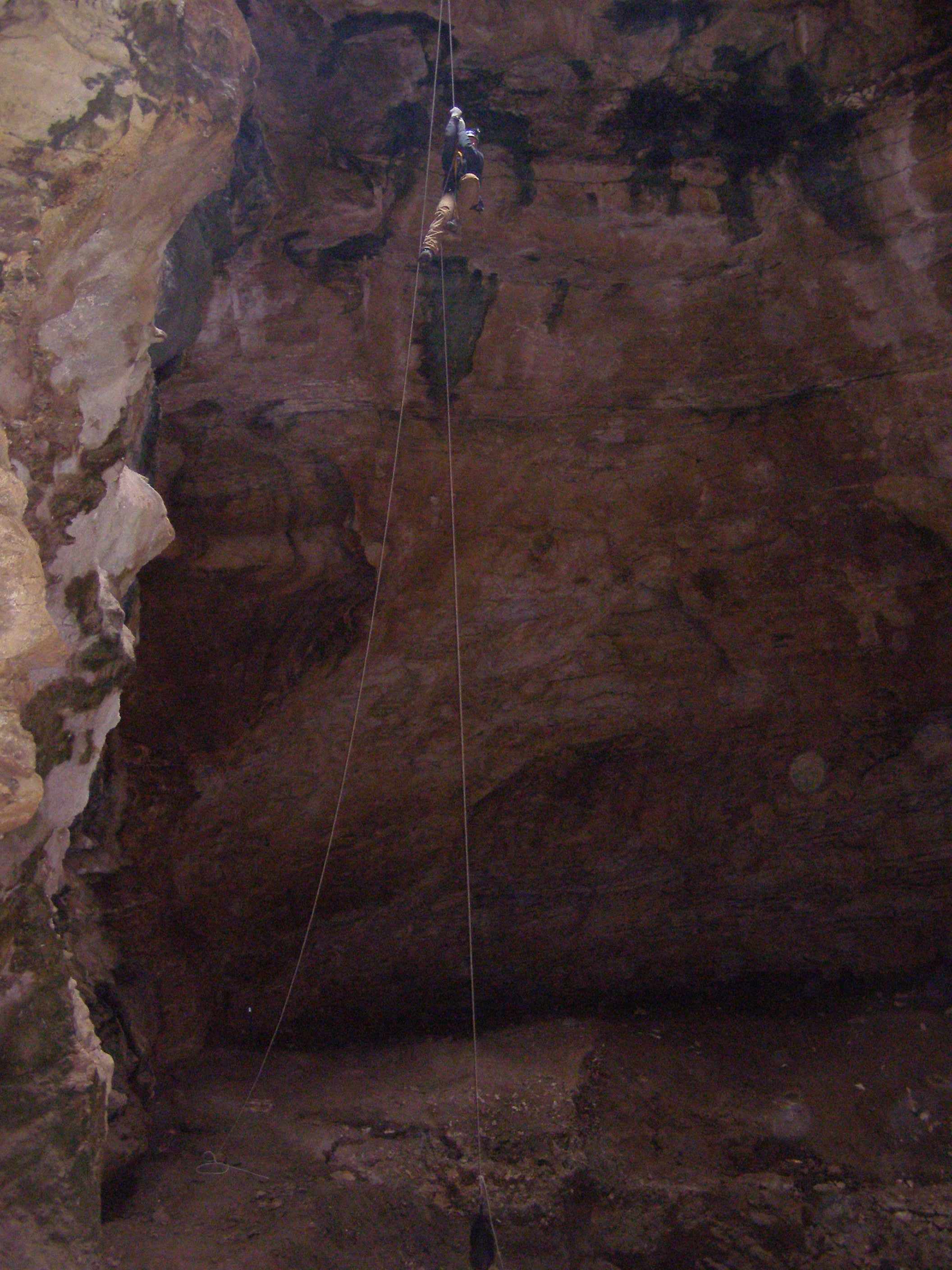 Cave with bones of 'tens of thousands' of animals to be excavated