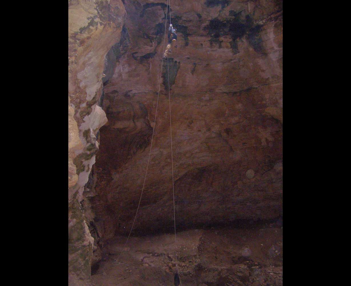 Cave with bones of 'tens of thousands' of animals to be excavated