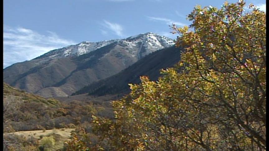 Deer Hunters Preparing for Opening Weekend