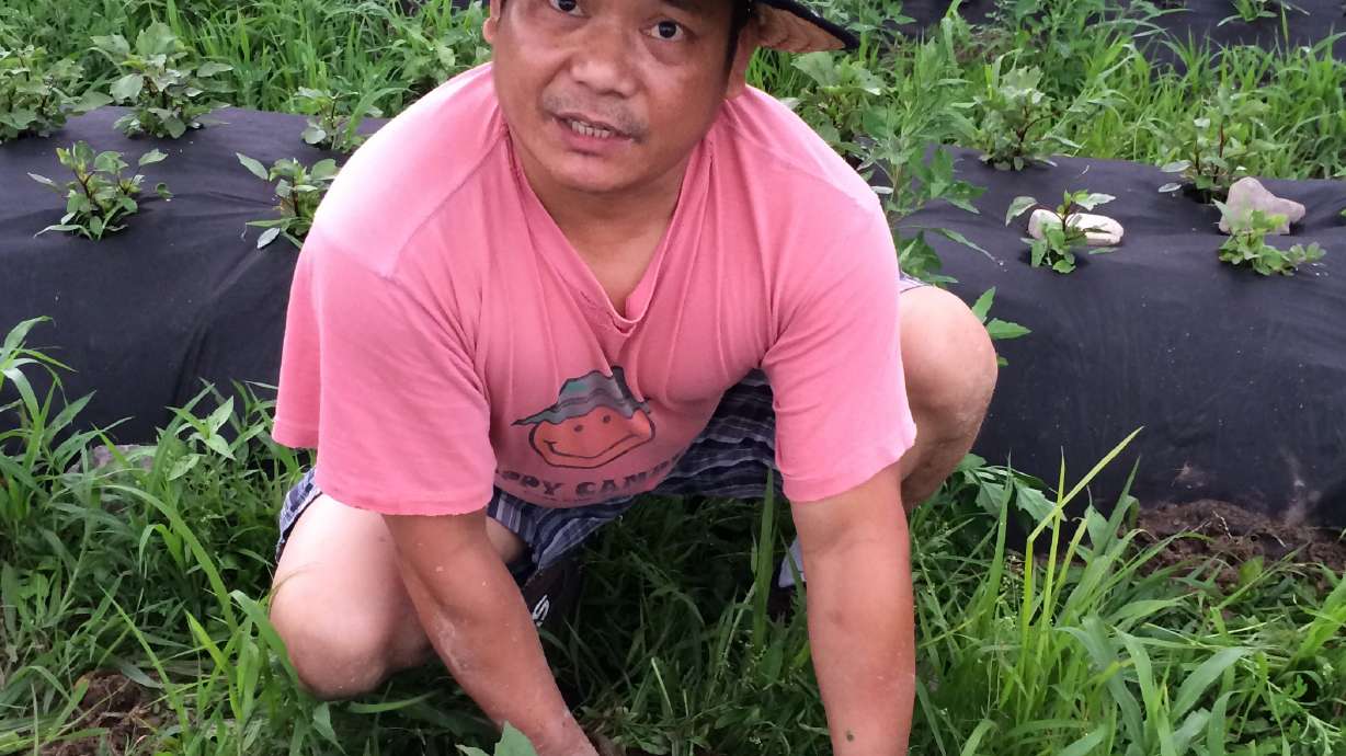 Incubator farms nurture agriculture entrepreneurs