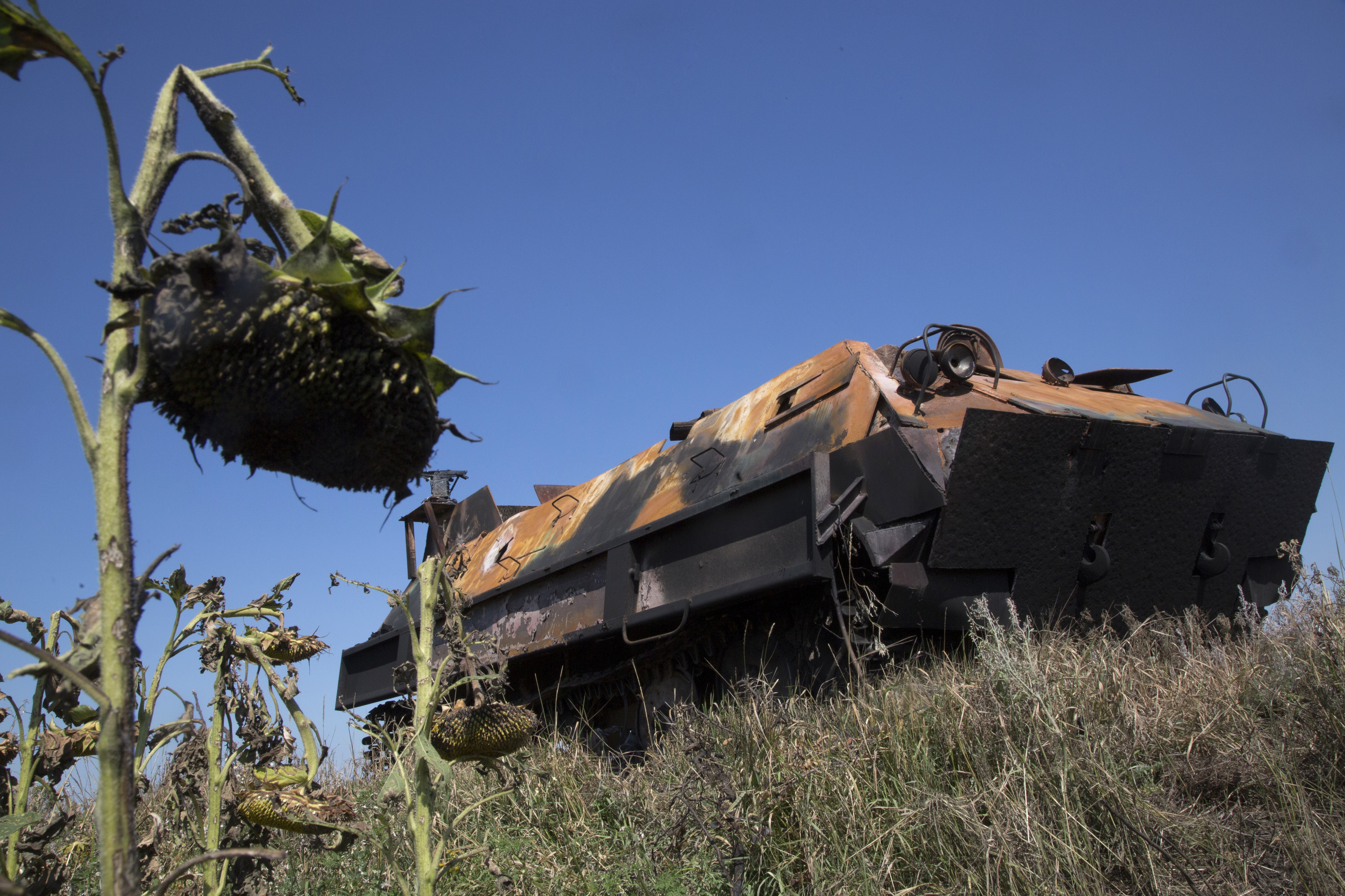 Study: Embargo wouldn't hurt Russia