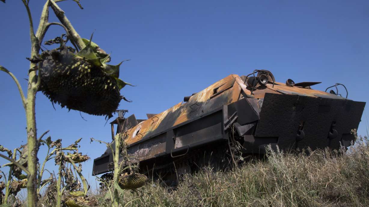 Study: Embargo wouldn't hurt Russia