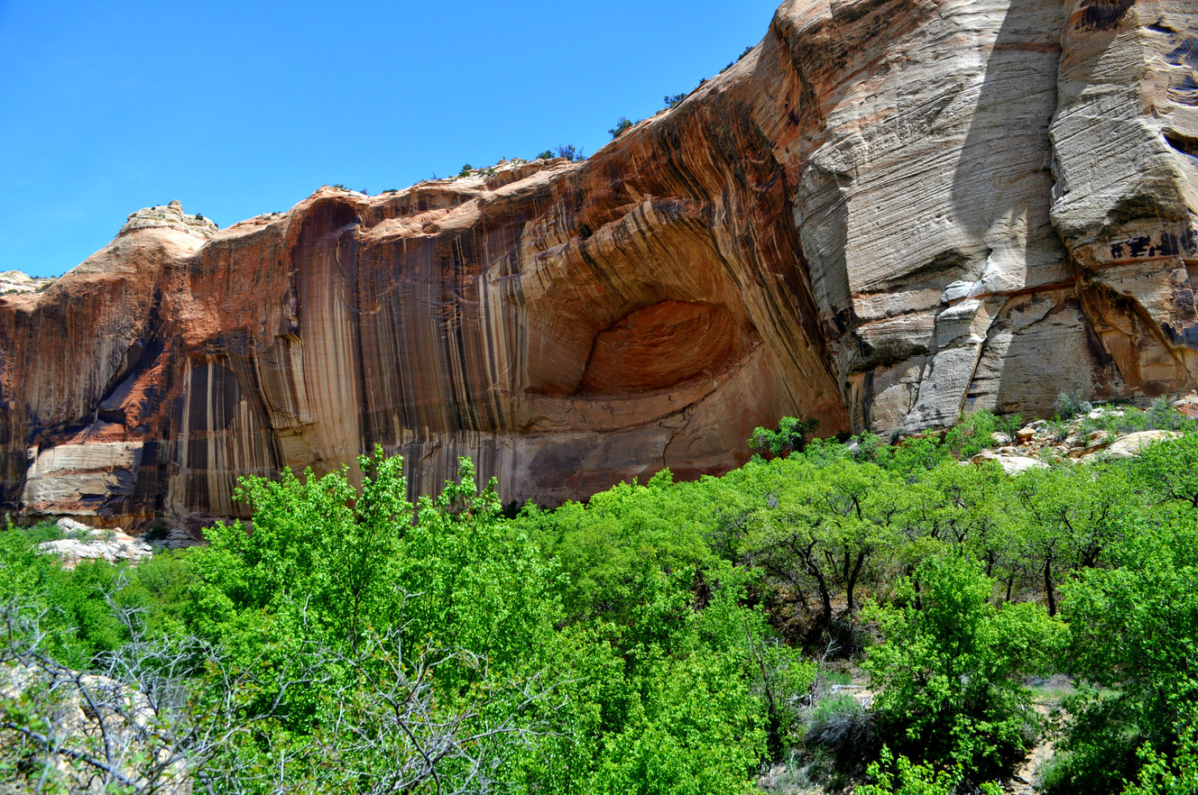 Each step along the hike to the falls will have great views. (Photo: Adam Provance)