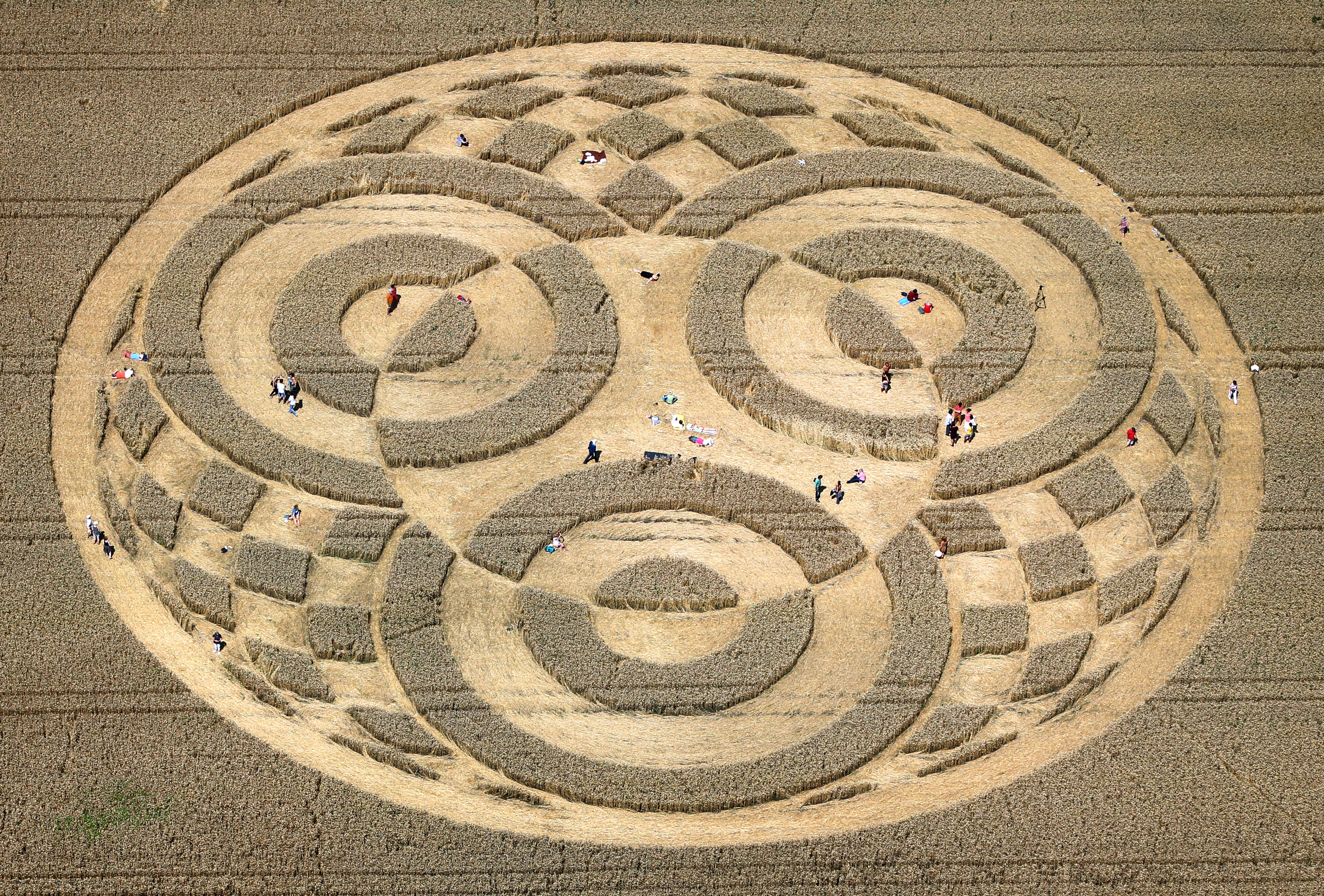 Crop circle in Germany attracts many visitors