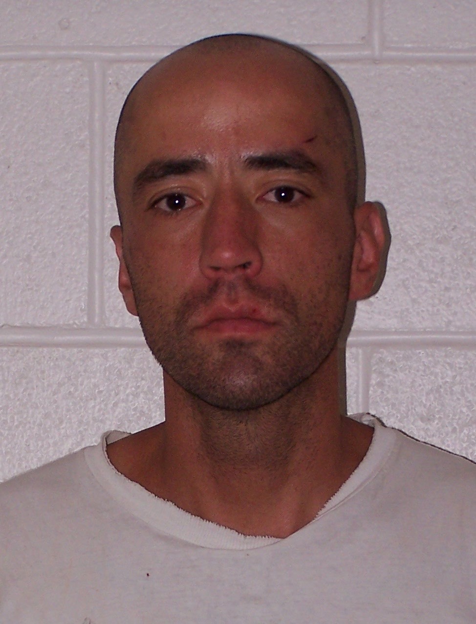 Recent booking photo of Brian William Swink, 32, whose body was found Tuesday, July 29, 2014, in the basement of a burning home in Price.