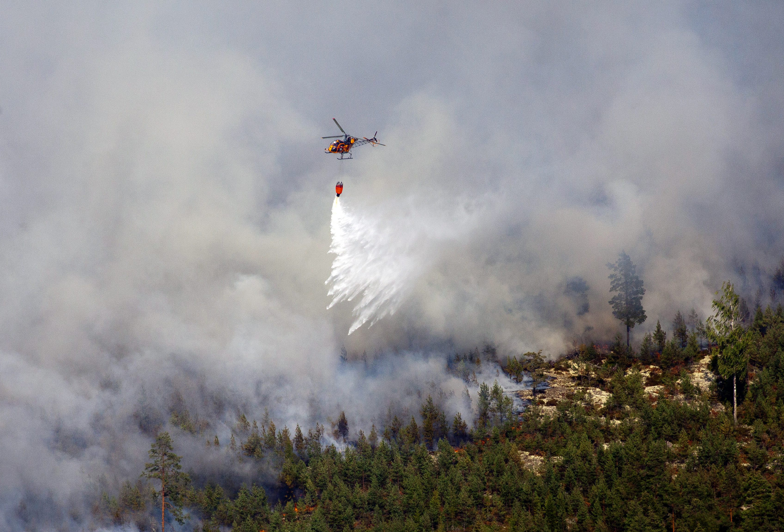 Sweden forest fire rages out of control, kills 1