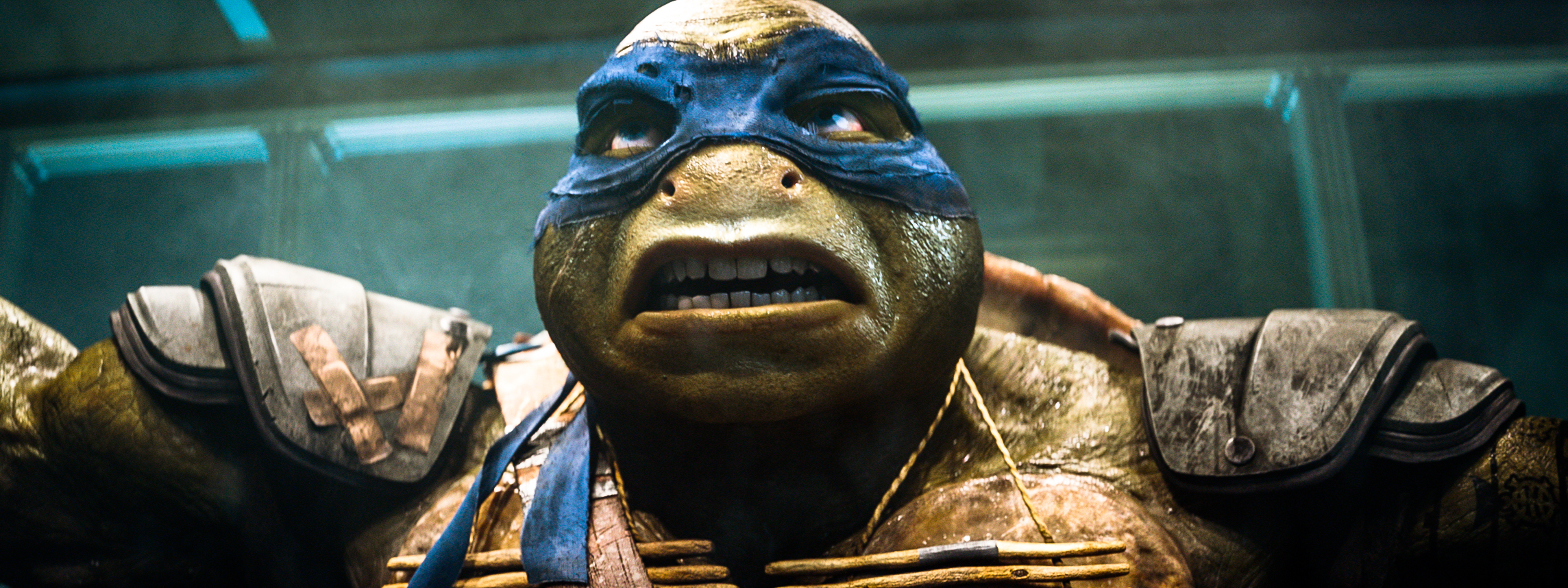 A digital and divisive redesign of 'Ninja Turtles'