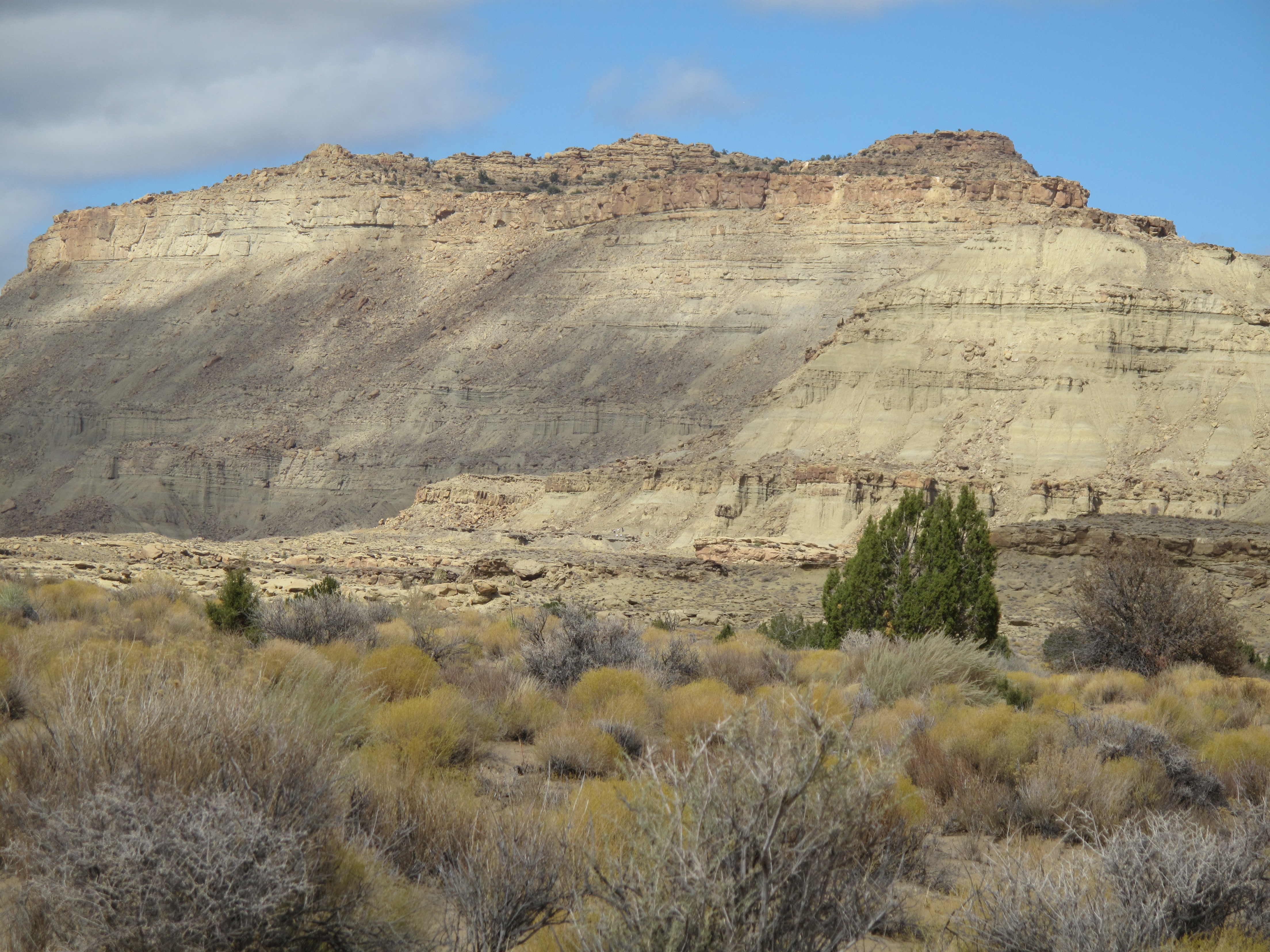 8 places for fantastic fossil finds