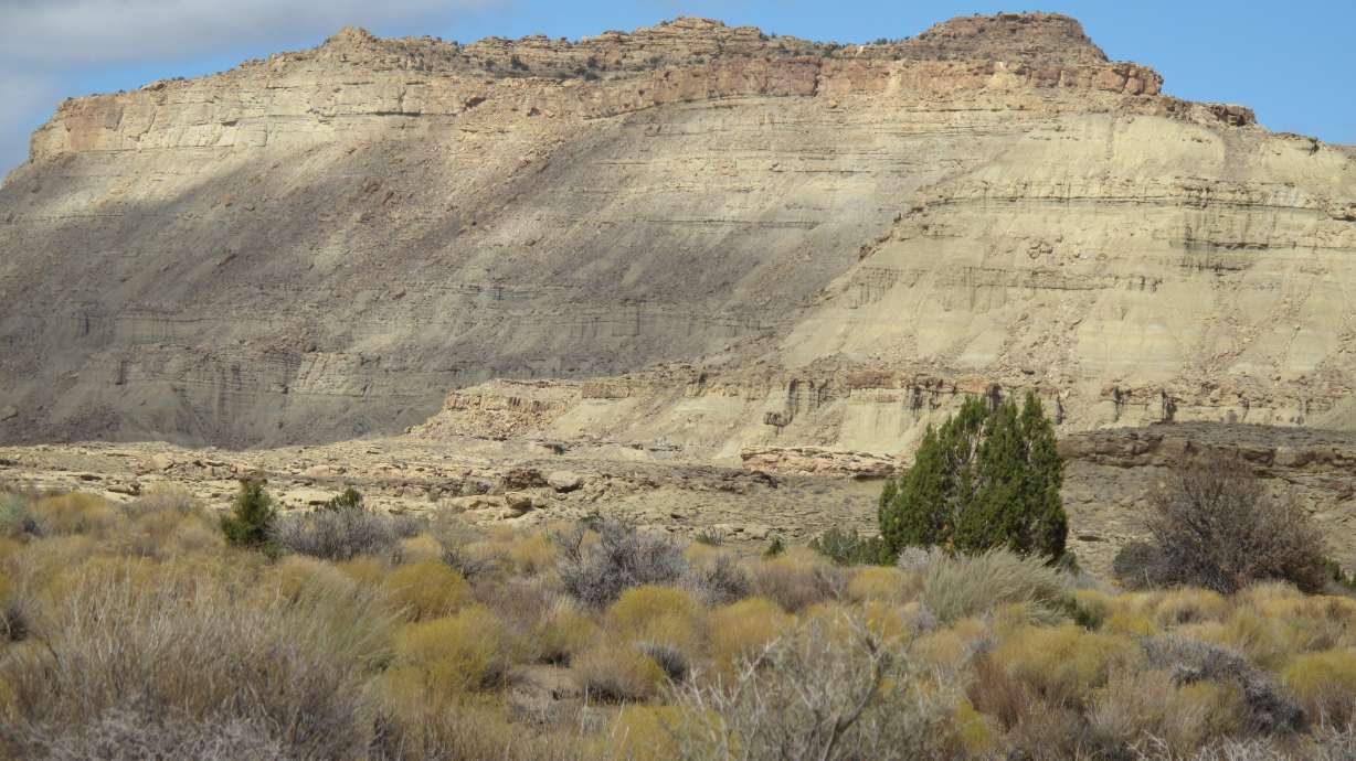 8 places for fantastic fossil finds