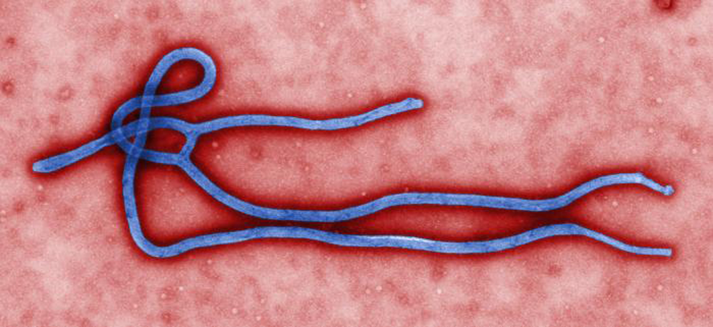 How does Ebola virus spread and can it be stopped?
