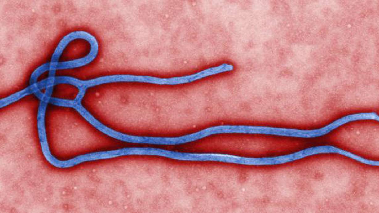 How does Ebola virus spread and can it be stopped?