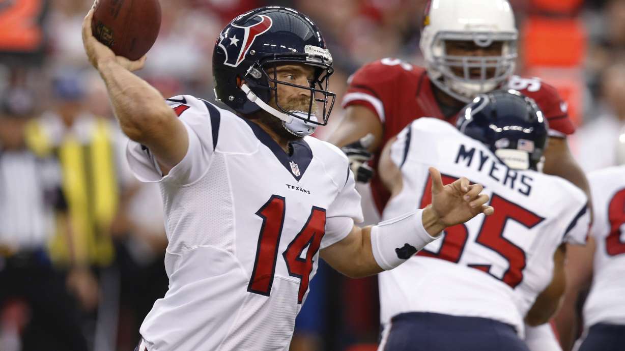 Palmer's short stint perfect, Arizona beats Texans