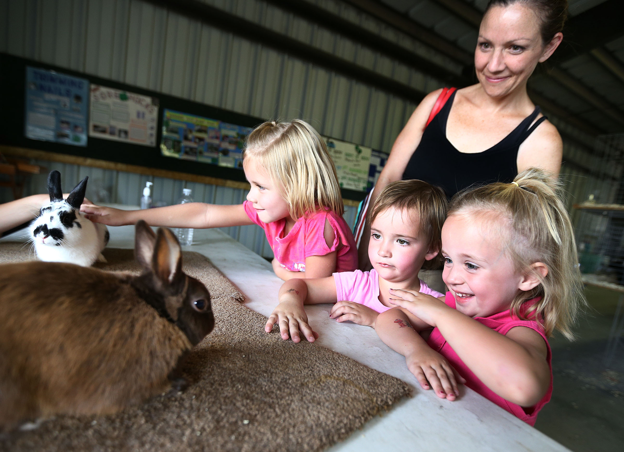Eva, Kathrin, and Karly Rennemeyer play with some rabbits at the Salt Lake County fair Saturday, Aug. 9, 2014, in South Jordan.