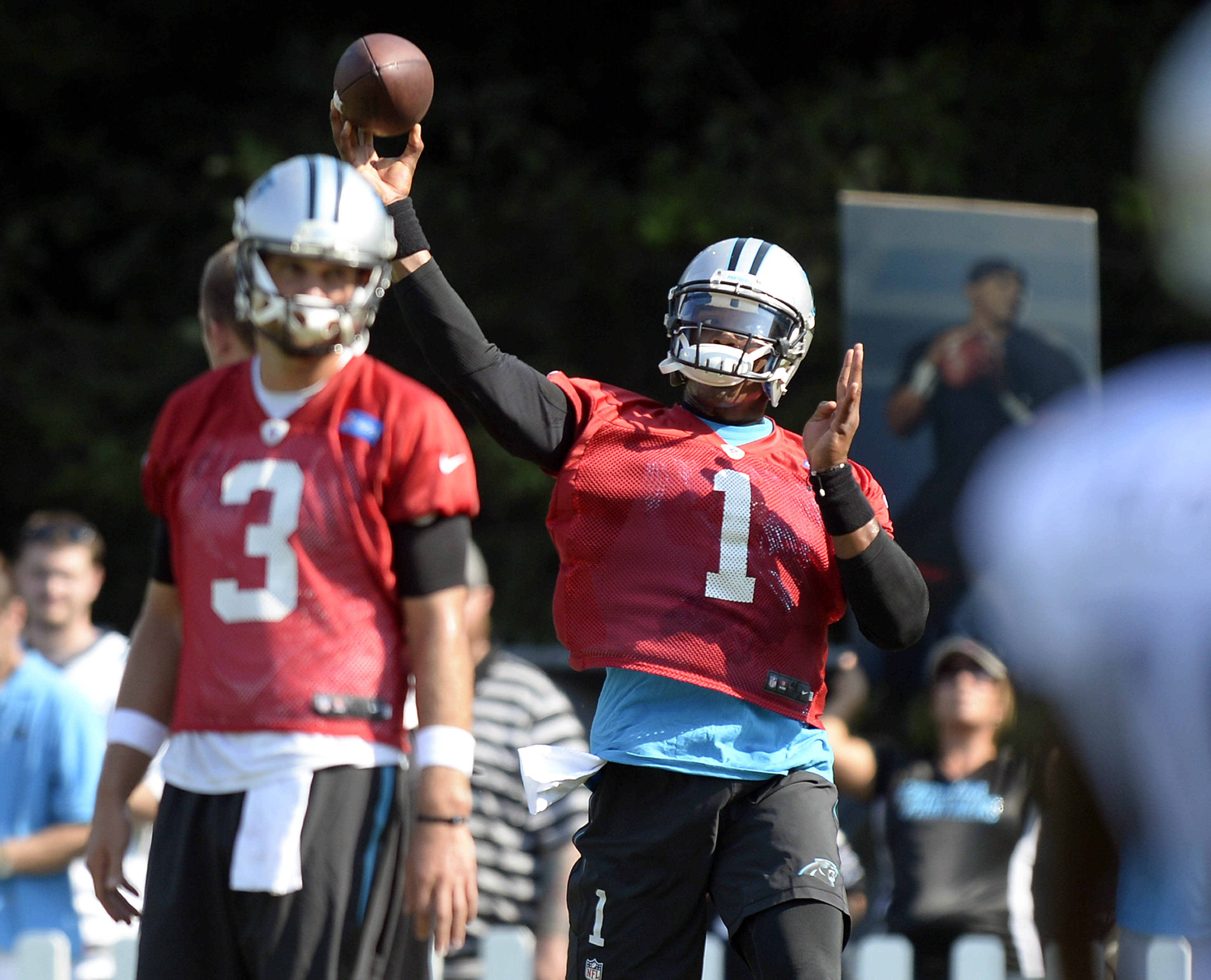 Panthers QB Newton, RBs Williams, Stewart to play