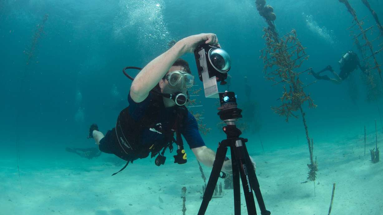 'Street view' goes undersea to map reefs, wonders