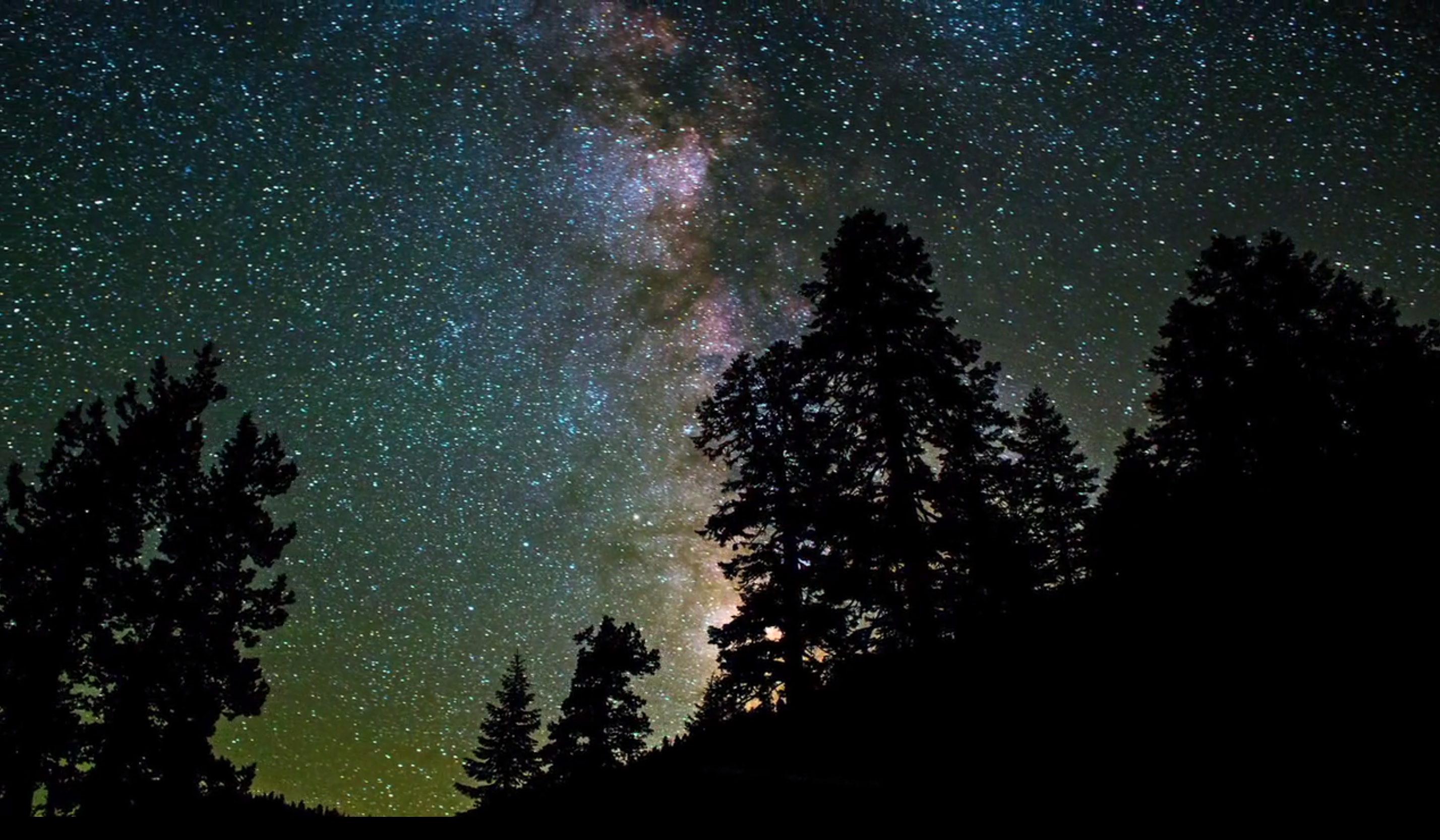 Have You Seen This? All day Sequoia timelapse 