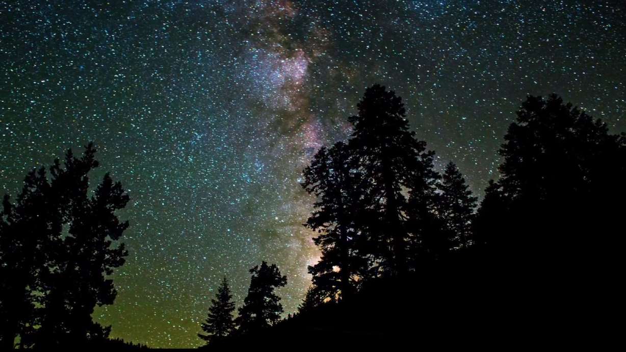 Have You Seen This? All day Sequoia timelapse