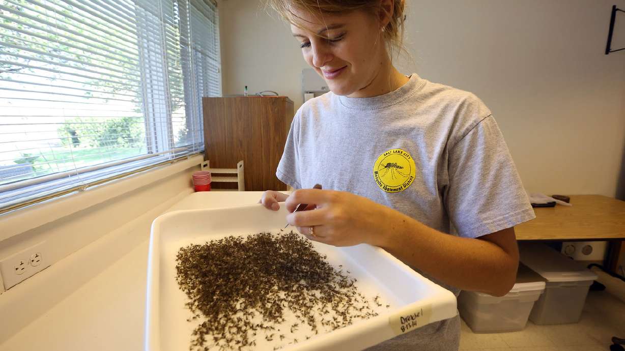 Crews working hard to contain West Nile virus