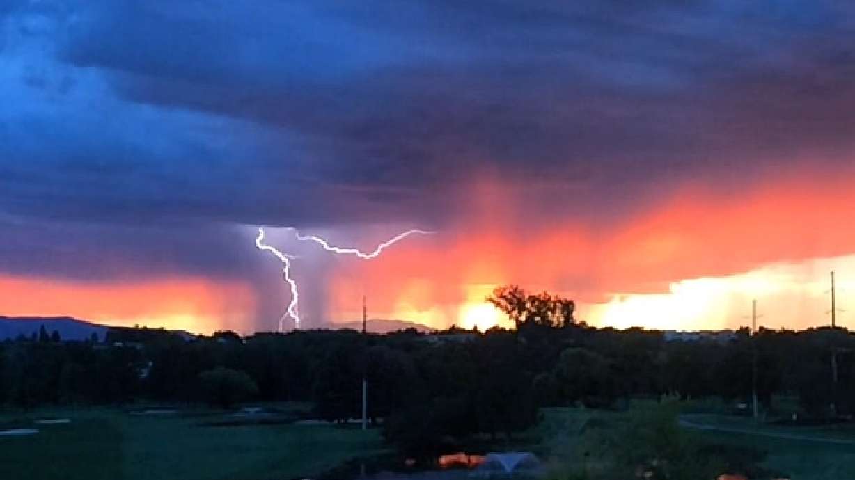 User photos: This week in news