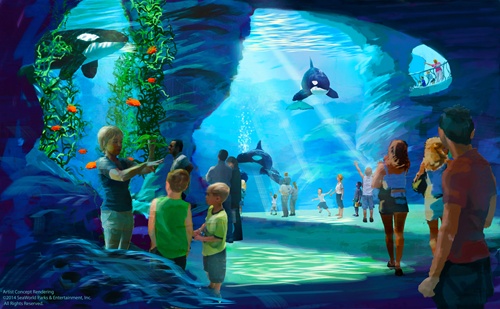 SeaWorld plans bigger killer whale environments | KSL.com