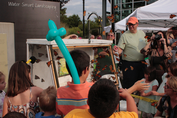 Public invited to West Jordan butterfly release