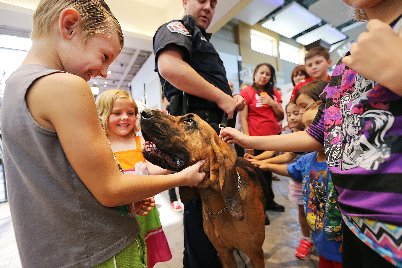 West Valley K-9 officer Steve Bearshall and his bloodhound, Chief, greet people Friday, Aug. 15, 2014, during a safety fair at Valley Fair Mall.