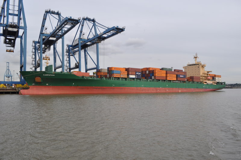Dockworkers find 35 'screaming' stowaways in a container