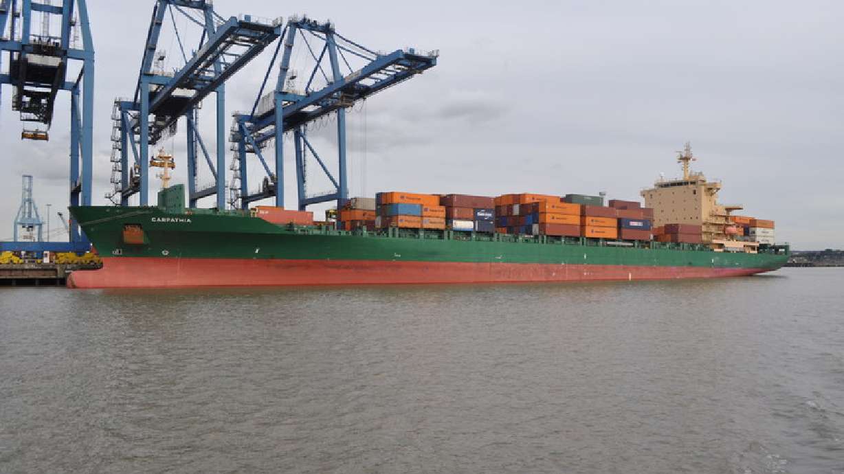 Dockworkers find 35 'screaming' stowaways in a container
