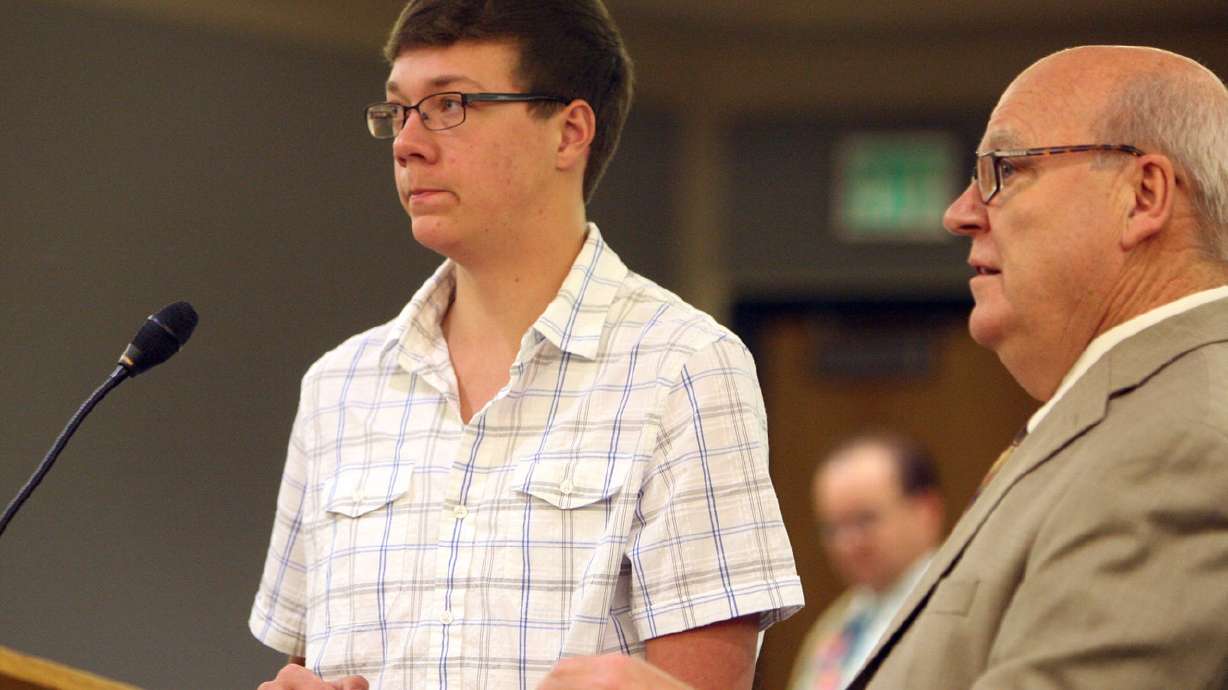 Stabbing suspect arrested in hammer assault on sister