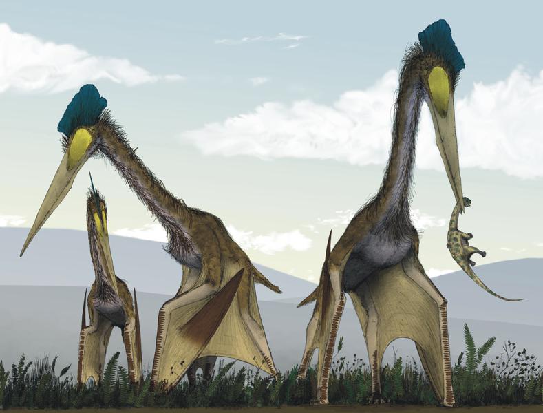 &lsquo;Dragon&rsquo; pterosaur was toothless, dominated skies