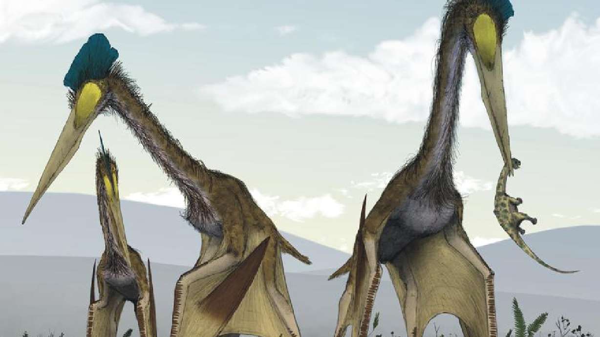 ‘Dragon’ pterosaur was toothless, dominated skies