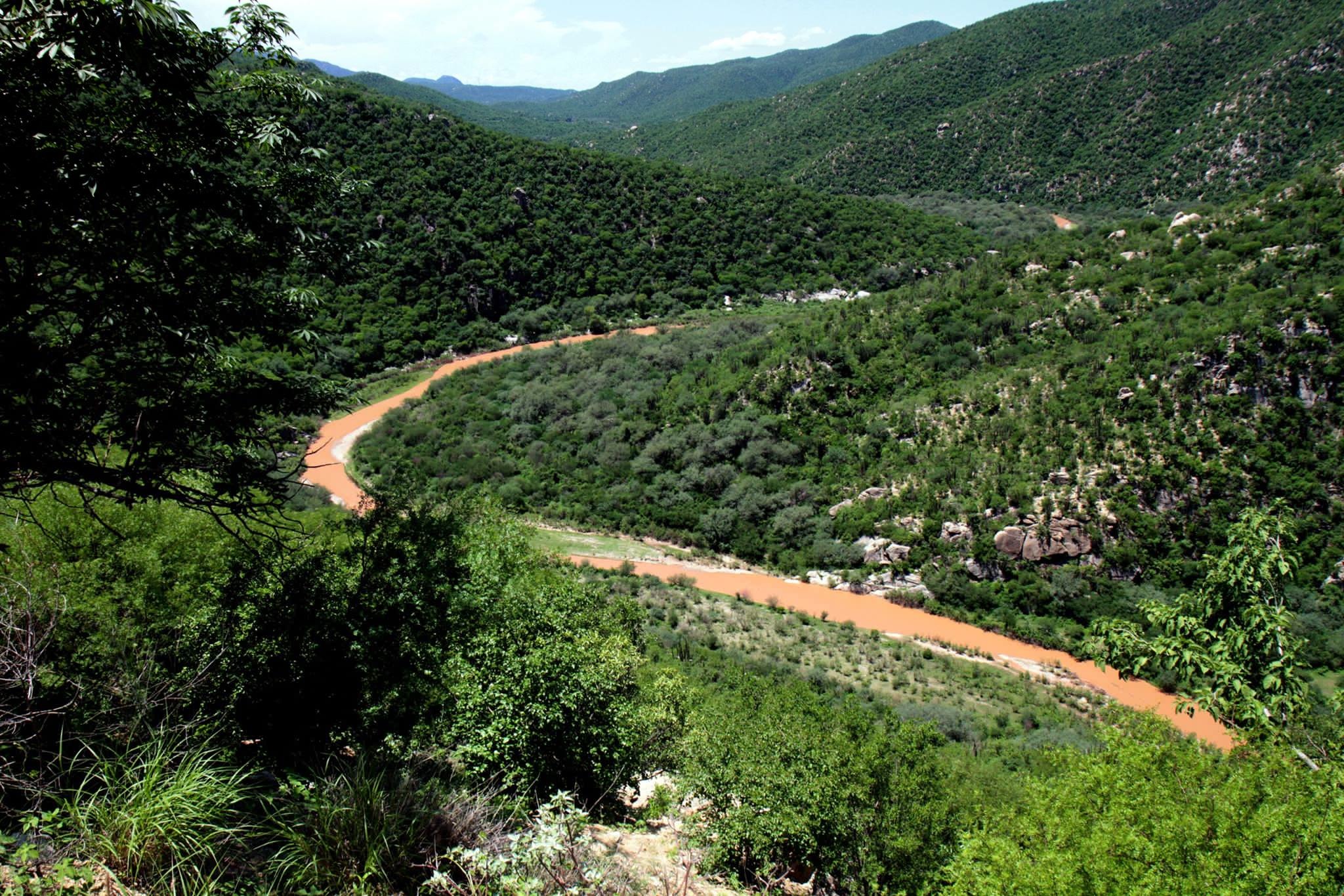 Mexico says mine firm lied about chemical spill