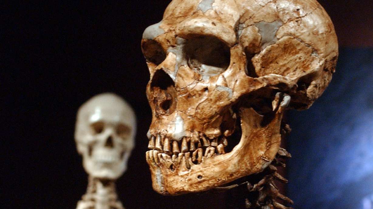 Neanderthals and humans had 'ample time' to mix